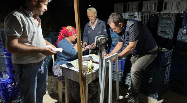 Gördes'te salatalıkların kalibre ölçümleri yapılıyor