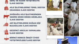 Hayvancılıkta yeni destekleme modeli