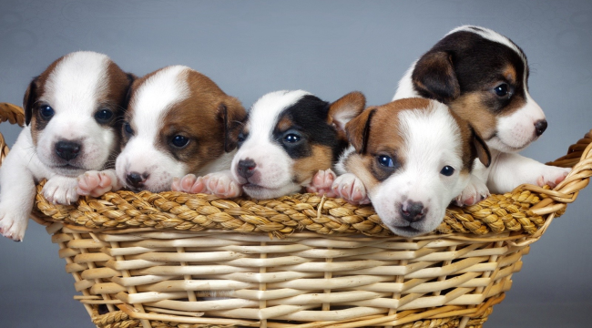 Katliam yasası AKP ve MHP oylarıyla kabul edildi!