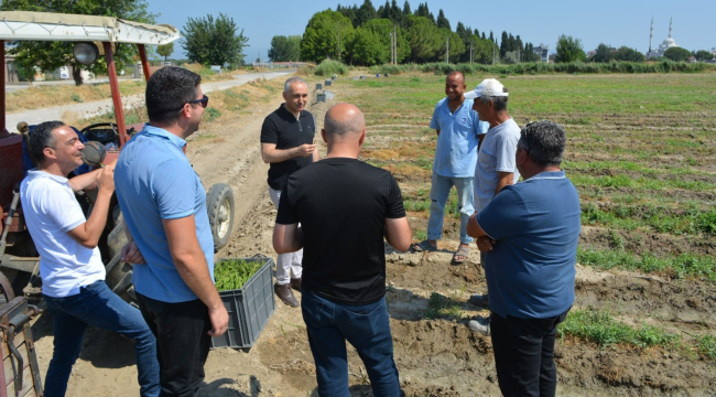Müdür Öztürk,hafta sonunu da tarım alanlarında ve üreticilerle geçirdi