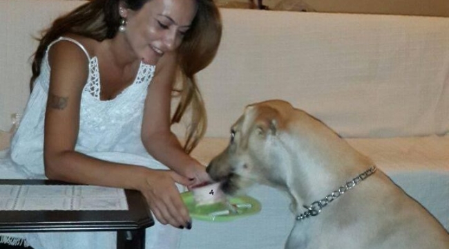  Ötenaziye karşı çıkan başkan Özalper''aşıla kısırlaştır yaşat''