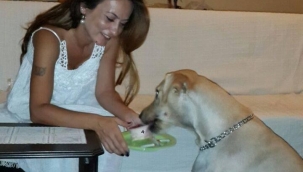  Ötenaziye karşı çıkan başkan Özalper''aşıla kısırlaştır yaşat''