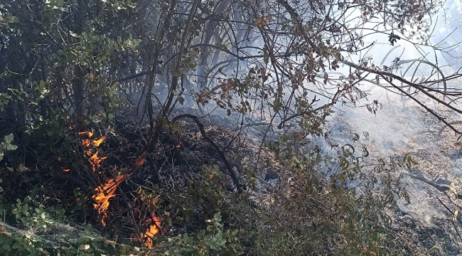 Turgutlu'da yangın evlere sıçradı