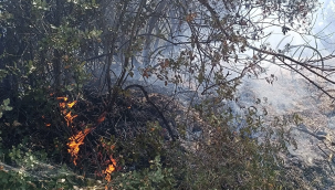 Turgutlu'da yangın evlere sıçradı