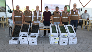 Üreticilere 234.900 süper pamir ve rondale cinsi lahana fideleri dağıtıldı