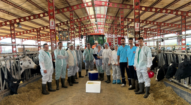 Veterinerler iş başında