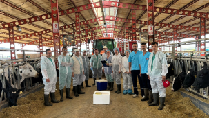 Veterinerler iş başında