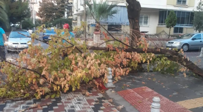 Ani yağış ve fırtıan Turgutlu ve Gördes ilçelerinde etkili oldu