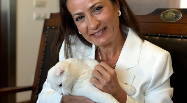  Başkan Özalper''psikopatik dürtüler taşıyan kişiler sahipsiz hayvanlarına saldırmaya başladı''