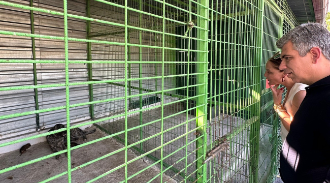 Başkanlar barınağı gezdi