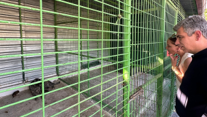 Başkanlar barınağı gezdi