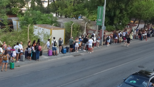 Bu da Midilli kuyruğu