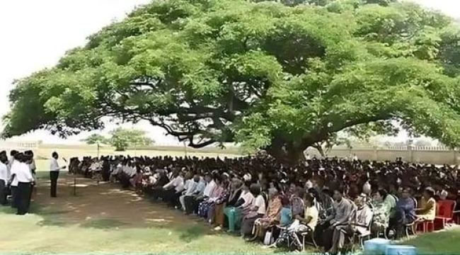 Bu sıcak günlerde günün fotoğrafı