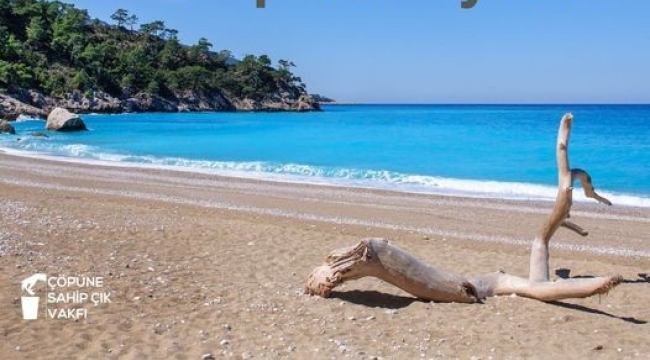 Çöpüne sahip çık