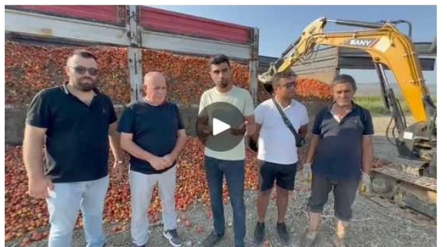 Fabrika almadı tonlarca domatesi yola döktü