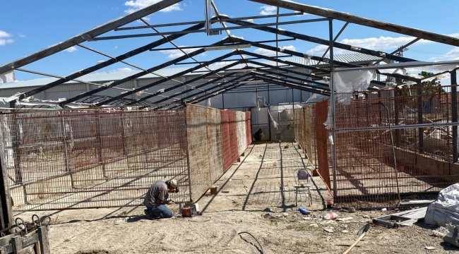 Gördes'de sokak hayvanları için barınma ve rehabilitasyon merkezi yapılıyor