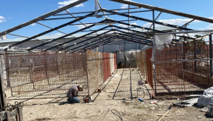 Gördes'de sokak hayvanları için barınma ve rehabilitasyon merkezi yapılıyor