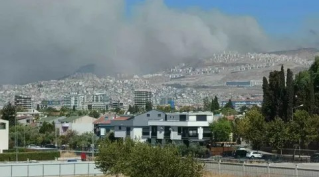 İzmir'de orman yangını