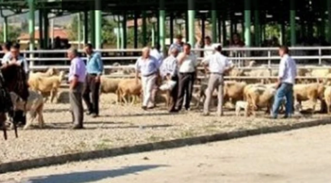 Kula'dan sonra Sarıgöl hayvan pazarıda kapatıldı