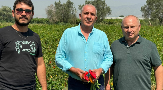 Manisa'da çiftçi biberlerini ücretsiz dağıtıyor
