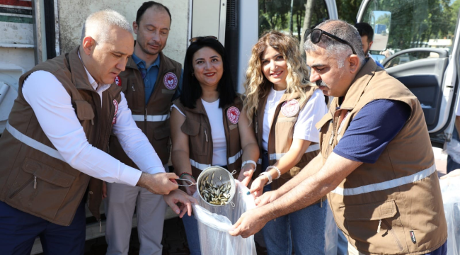 Manisa'daki baraj gölü ve göletlere 1.388 bin sazan yavrusu bırakıldı