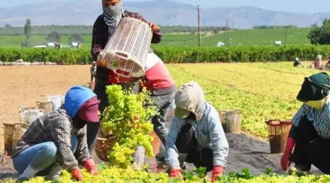 Ovada renkli görüntüler