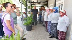 Serada üretim denetimi