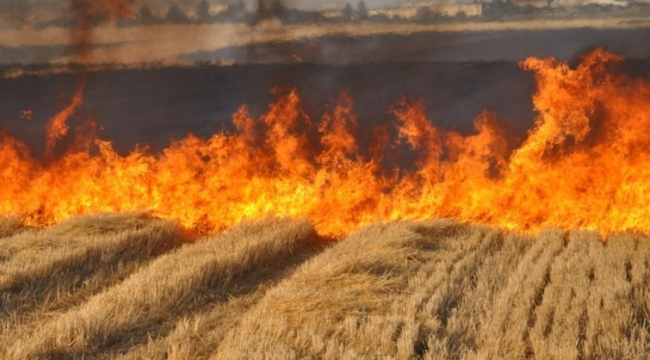 Tarım alanlarında yangın önlemek için emniyet bandı uygulaması