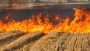 Tarım alanlarında yangın önlemek için emniyet bandı uygulaması
