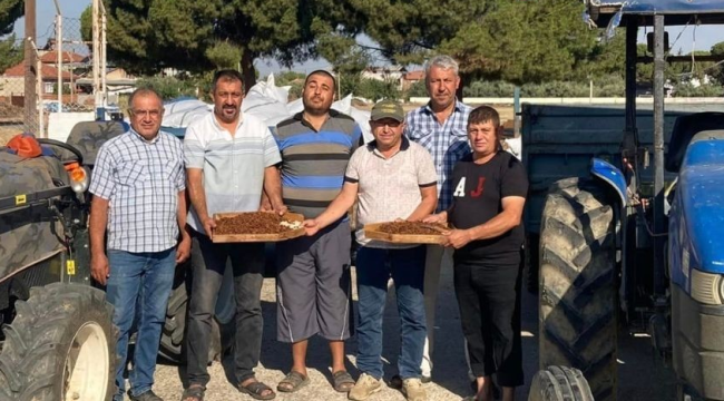 Tariş üzüm alımına başladı