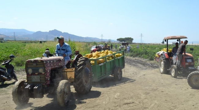  'Verdikleri fiyat ağrımıza gitti' dedi: 600 ton kavun ve karpuzu ücretsiz dağıttı