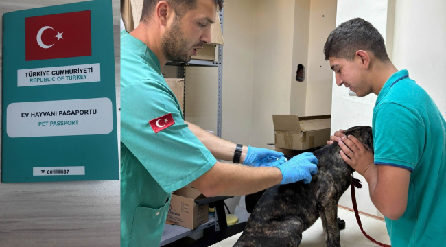 Veterinerlerden kimliklendirme ve kuduz aşısı çaliması