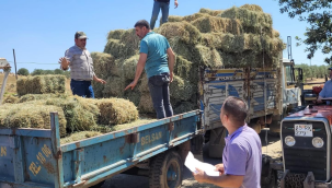 Yangın bölgesinde üreticilere saman ve yem dağıtımı başladı