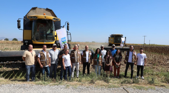 Yeniharmandalı'da ayçiçek hasadı başladı