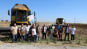 Yeniharmandalı'da ayçiçek hasadı başladı