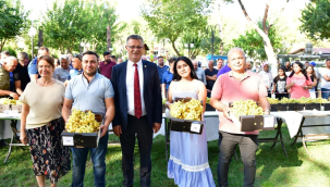 Alaşehir'ın en güzel üzümü seçildi