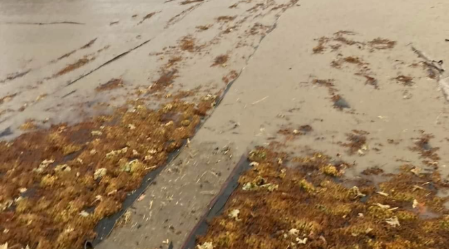 Gölmarmara'da üzüm sergileri sular atında