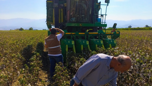 Hasat öncesi pamuk makinaları kontrolleri başladı