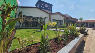 Kent merkezi yeşillendirildi