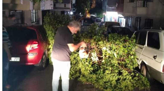 Şehzadelerde temizlık başladı