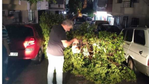 Şehzadelerde temizlık başladı