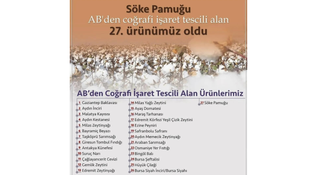 Söke pamuğu, AB'den coğrafi işaret tescili alan 27.ürün oldu
