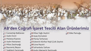 Söke pamuğu, AB'den coğrafi işaret tescili alan 27.ürün oldu