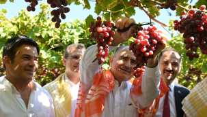 Vali Özkan hızlı başladı