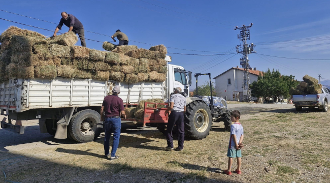Yangında zarar göre Yeniköy 'de üreticilere yonca yardımı