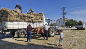 Yangında zarar göre Yeniköy 'de üreticilere yonca yardımı