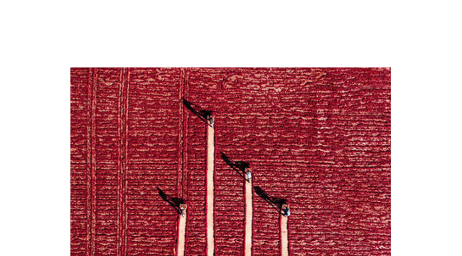 14. tarım, orman ve insan fotoğraf yarışması sonuçlandı