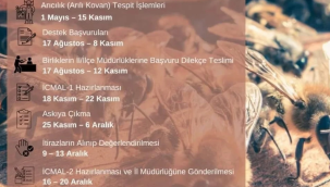 Arılı kovan destekleme başvurusunda süre uzatıldı