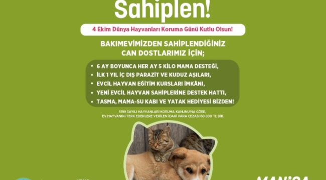 Büyükşehirden sokak hayvanlarına yuva bulma kampanyası