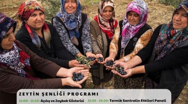 CHP liderinin de katılacağı Yırca zeytin şenliği başladı